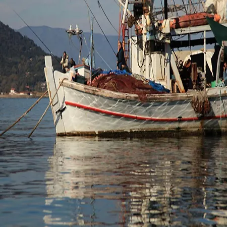 Liotopi Casa de hóspedes Olympiada