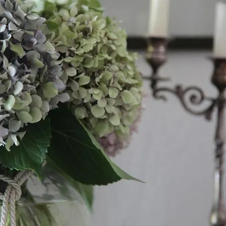 Liotopi Casa de hóspedes Olympiada