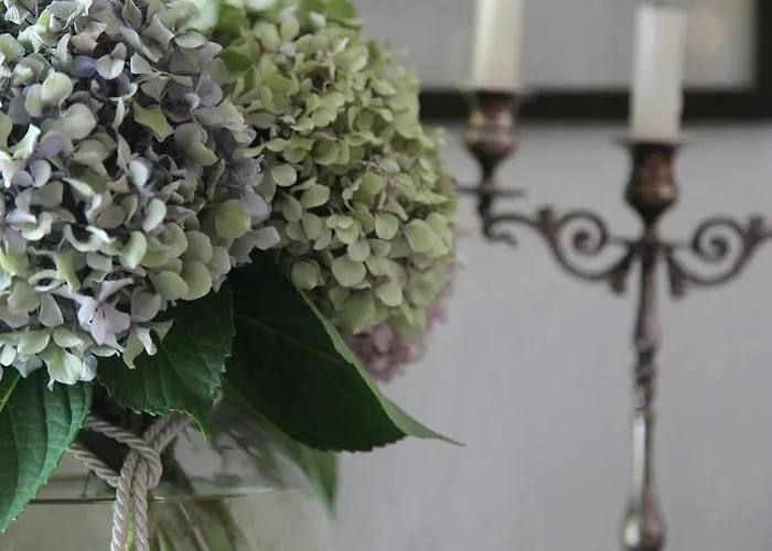 利欧托皮旅馆 招待所 奥林匹亚达