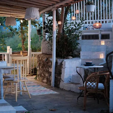Guest house Liotopi Olympiada