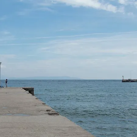 Liotopi 2* 올림피아다